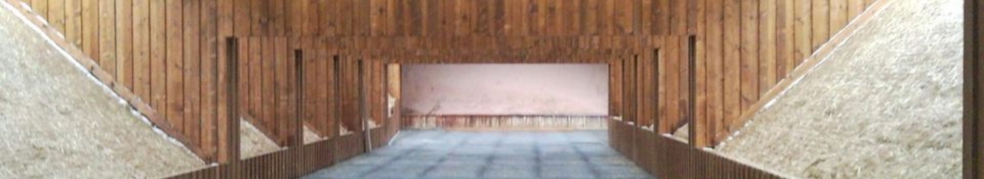 Bühnenbild: Schießmöglichkeiten {f:if(condition: backgroundImage.alternative, then: backgroundImage.alternative, else:'Ein Bühnenbild als Hintergrund für die Seite Schießmöglichkeiten